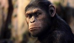 andy-serkis-talks-rise-of-the-planet-of-the-apes