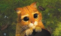 chat_potte-pub