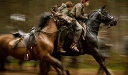 cheval-de-guerre---chevaux