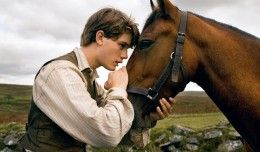 cheval-de-guerre-war horse
