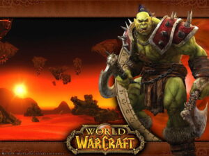 Film world of warcraft