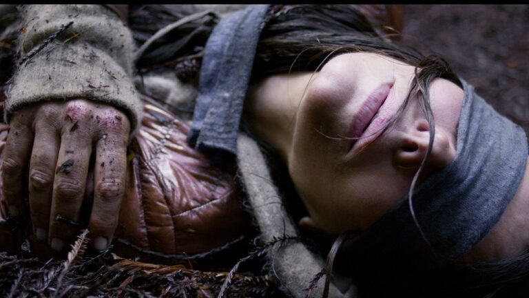 Coup Pour Coup Netflix Explication Fin Bird Box : explications du film netflix et de sa fin | Page 2 sur 4