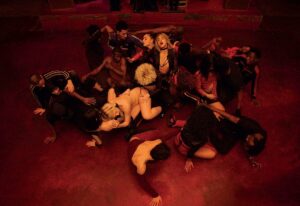 climax gaspard noe