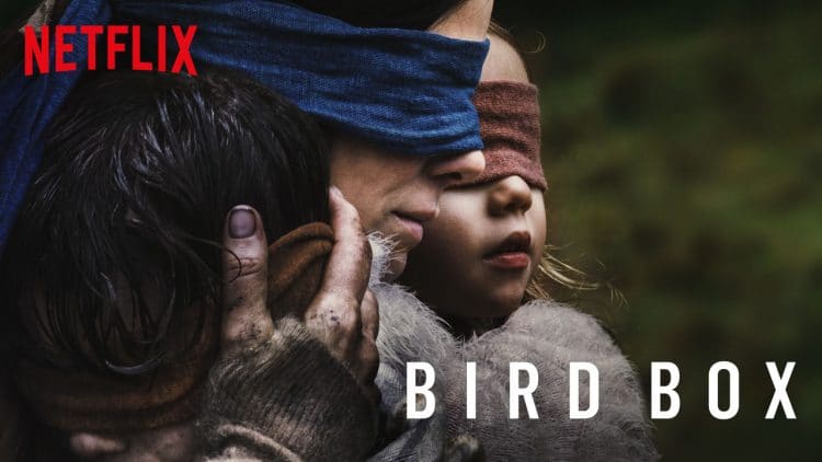 film bird box