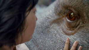 okja photo film