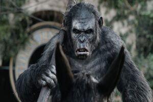 planete des singes affrontement koba