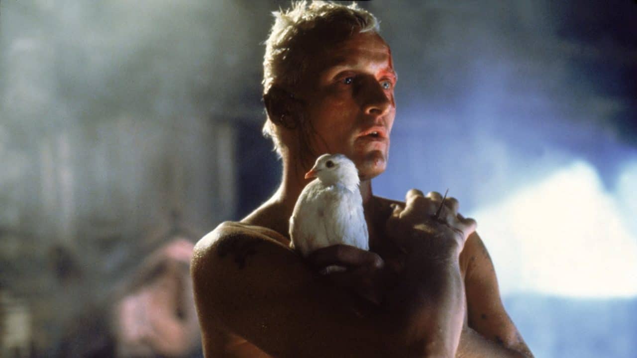 Rutger Hauer dans Blade Runner
