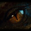 L'oeil du dragon Smaug
